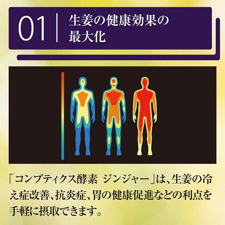 マックススリム コンブティクス酵素ドリンク ジンジャー/プラセンタ 500ml