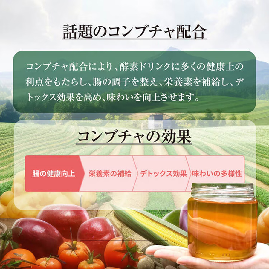 マックススリム コンブティクス酵素ドリンク ジンジャー/プラセンタ 500ml