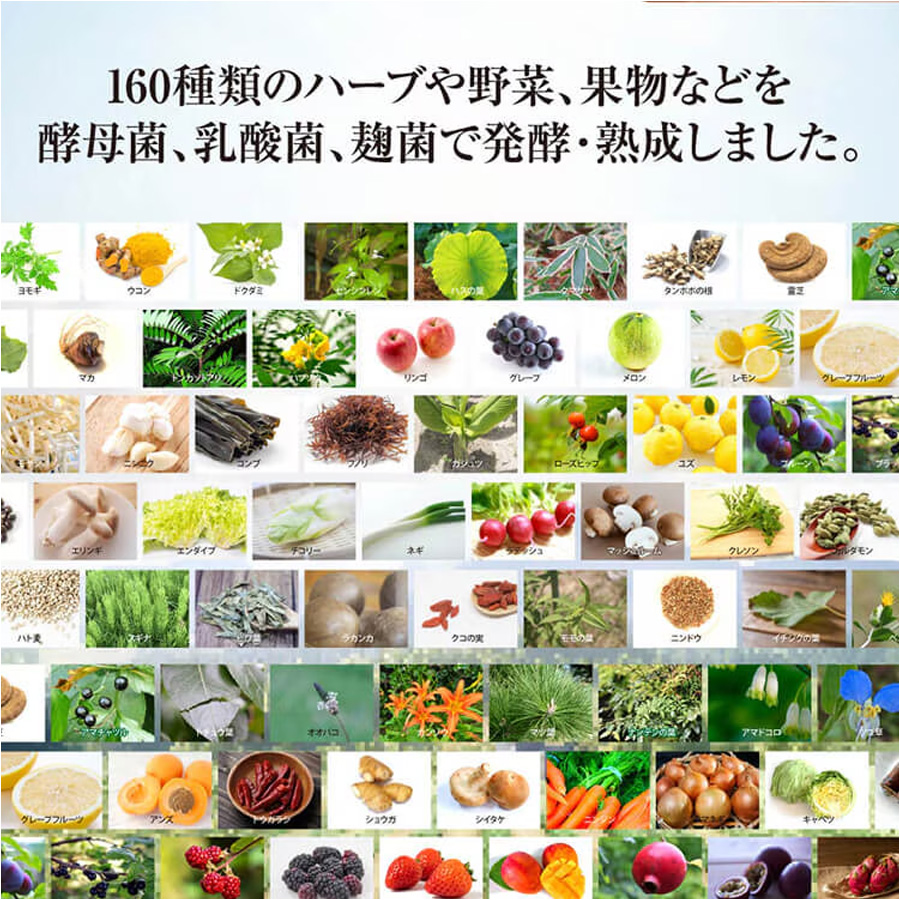 マックススリム コンブティクス酵素ドリンク ジンジャー/プラセンタ 500ml