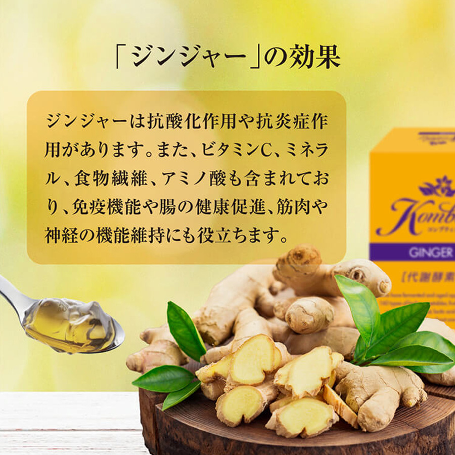 マックススリム コンブティクス酵素ゼリー 全3種 20g×15包入