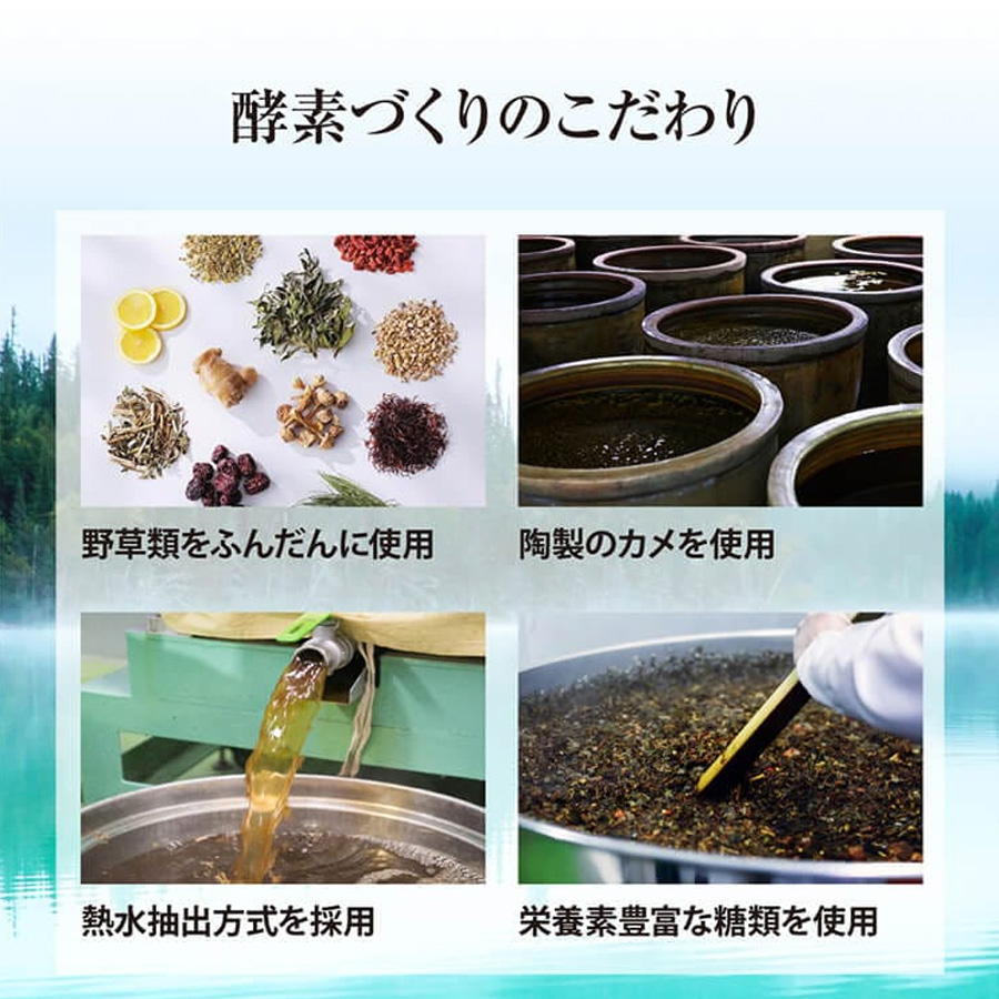 マックススリム コンブティクス酵素ゼリー 全3種 20g×15包入