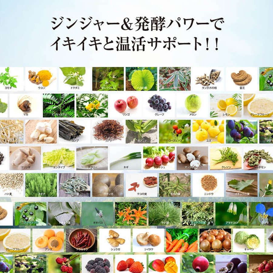 マックススリム コンブティクス酵素ゼリー 全3種 20g×15包入