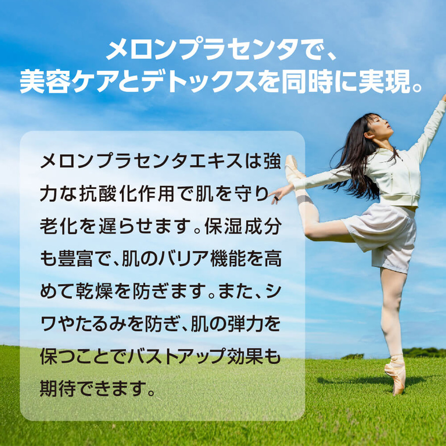 マックススリム コンブティクス酵素ゼリー 全3種 20g×15包入