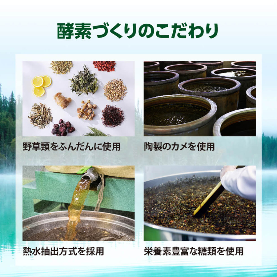 マックススリム コンブティクス酵素ゼリー 全3種 20g×15包入