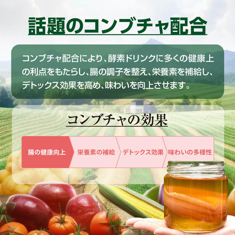 マックススリム コンブティクス酵素ゼリー 全3種 20g×15包入
