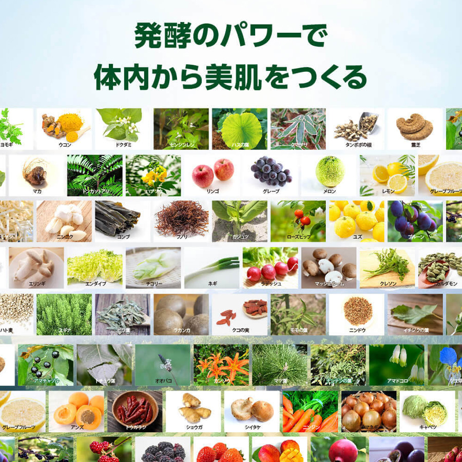 マックススリム コンブティクス酵素ゼリー 全3種 20g×15包入