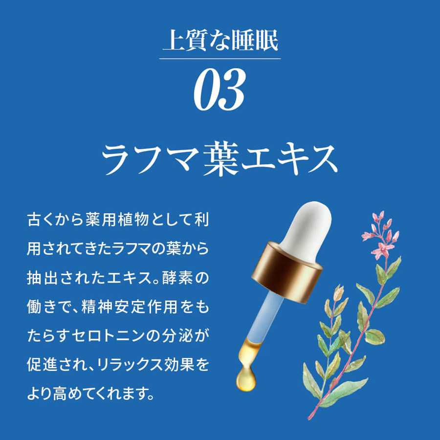 マックススリム コンブティクス酵素ゼリー 全3種 20g×15包入