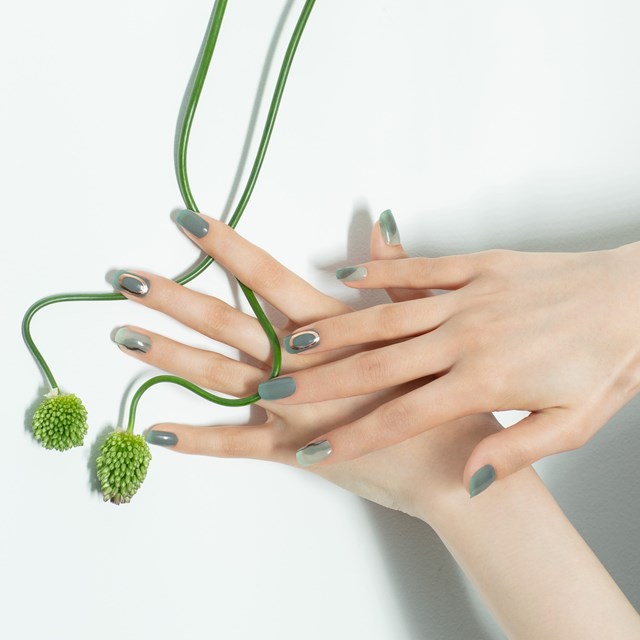 エッシーモ 全47種