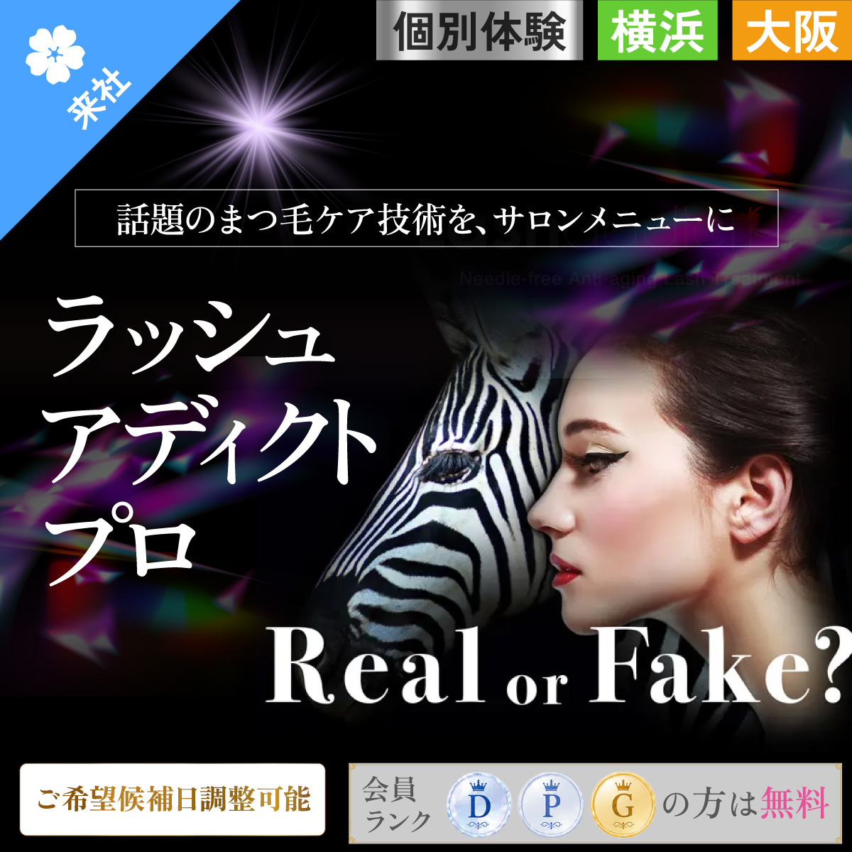 【体験会】ラッシュアディクトプロ 個別体験