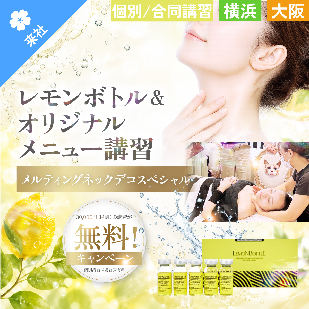 【個別・合同講習会】レモンボトル 10ml×5本+オリジナルメニュー講習