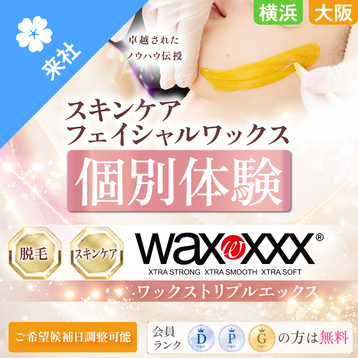 【体験会】ワックストリプルエックス スキンケアフェイシャルワックス 個別体験