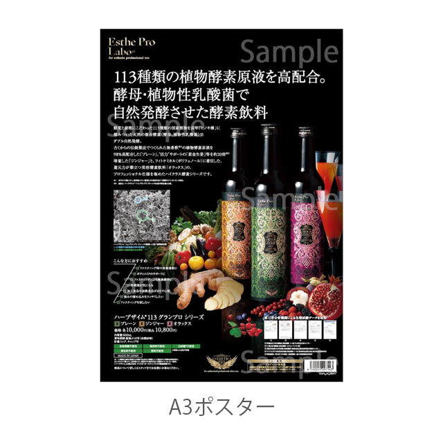 エステプロラボ ハーブザイム113グランプロ　全3種 500ml/販促