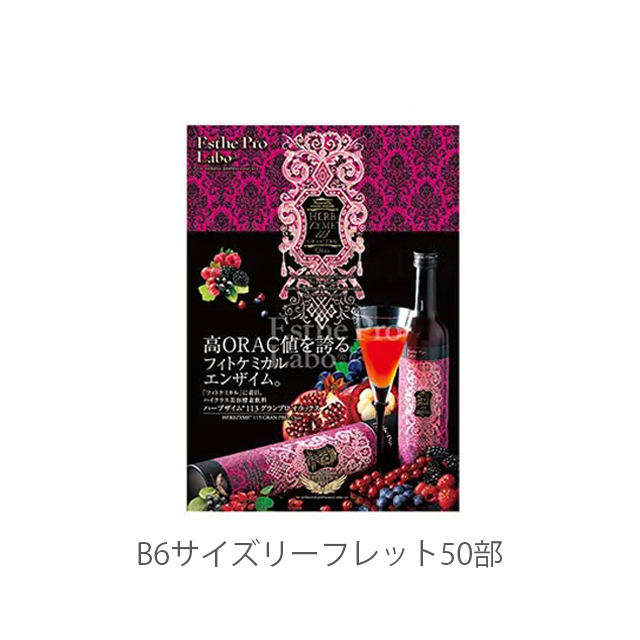 エステプロラボ ハーブザイム113グランプロ　全3種 500ml/販促