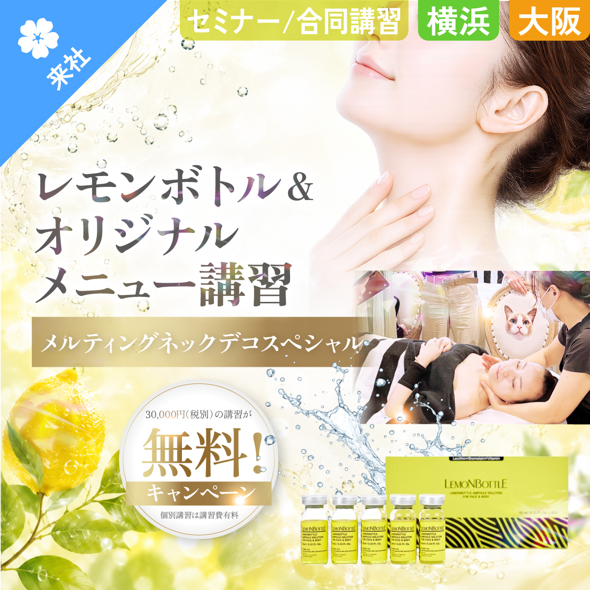 【個別・合同講習】レモンボトル 10ml×5本+オリジナルメニュー講習