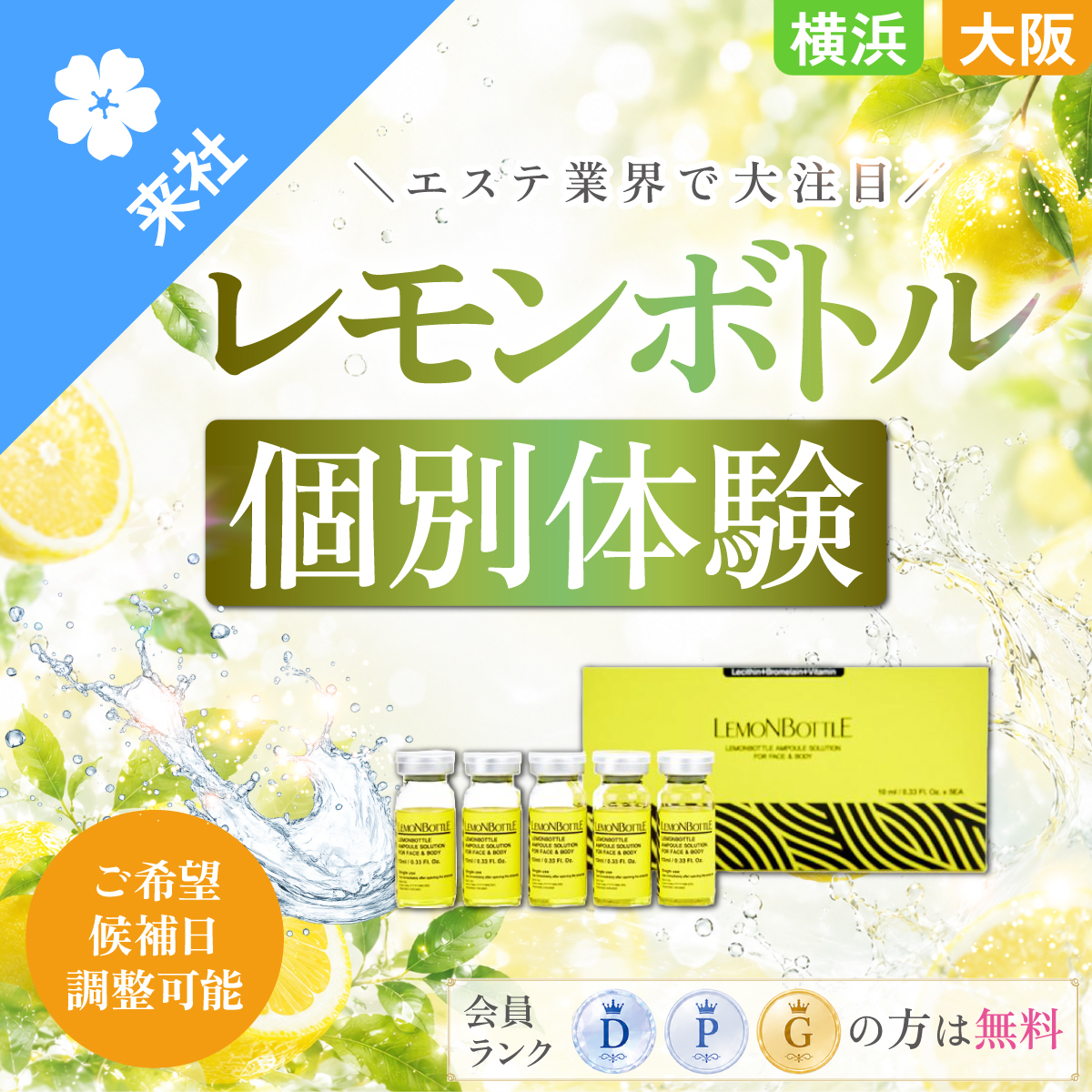 【体験会】レモンボトル 個別体験