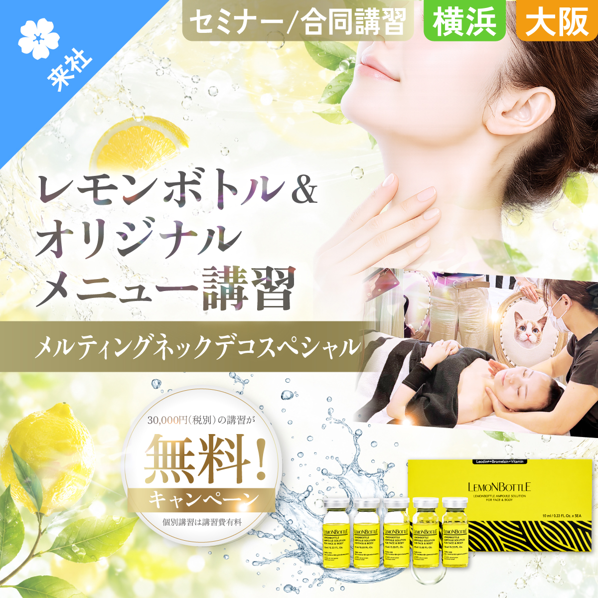 【個別・合同講習】レモンボトル 10ml×5本+オリジナルメニュー講習