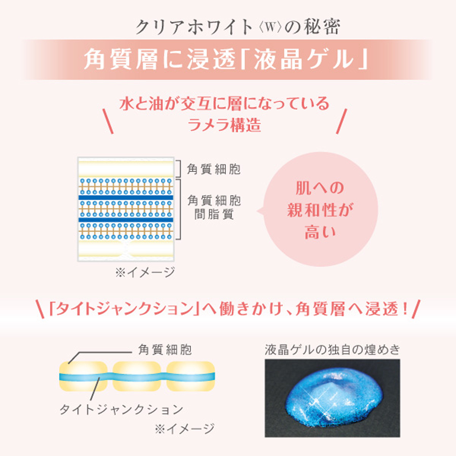 ラシンシア クリアホワイト〈W〉 50g/レフィル