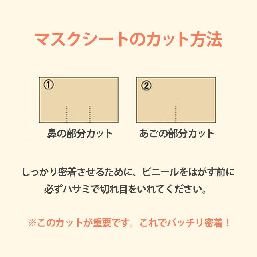 リポデルム ゴールデュアマスク 10包(1包2シート)