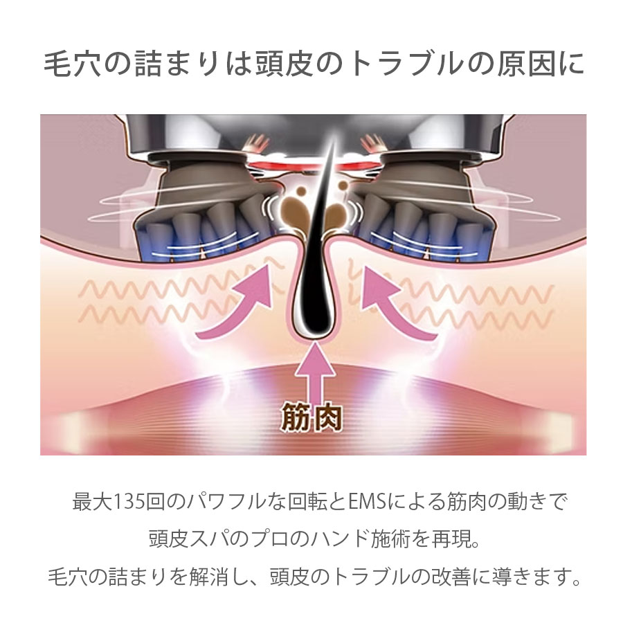 ZOGANKIN Scalp (ゾーガンキン スカルプ)