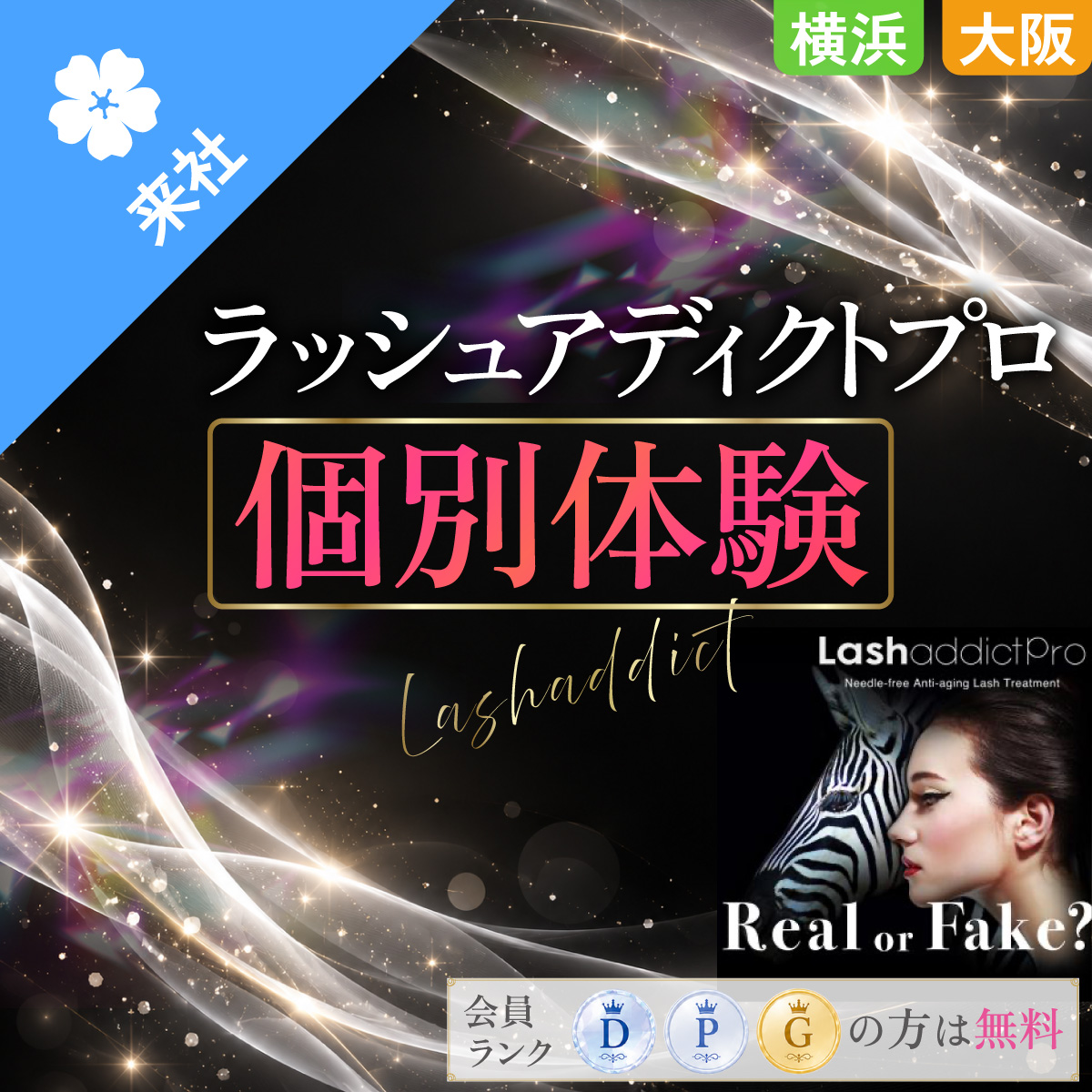 【体験会】ラッシュアディクトプロ 個別体験