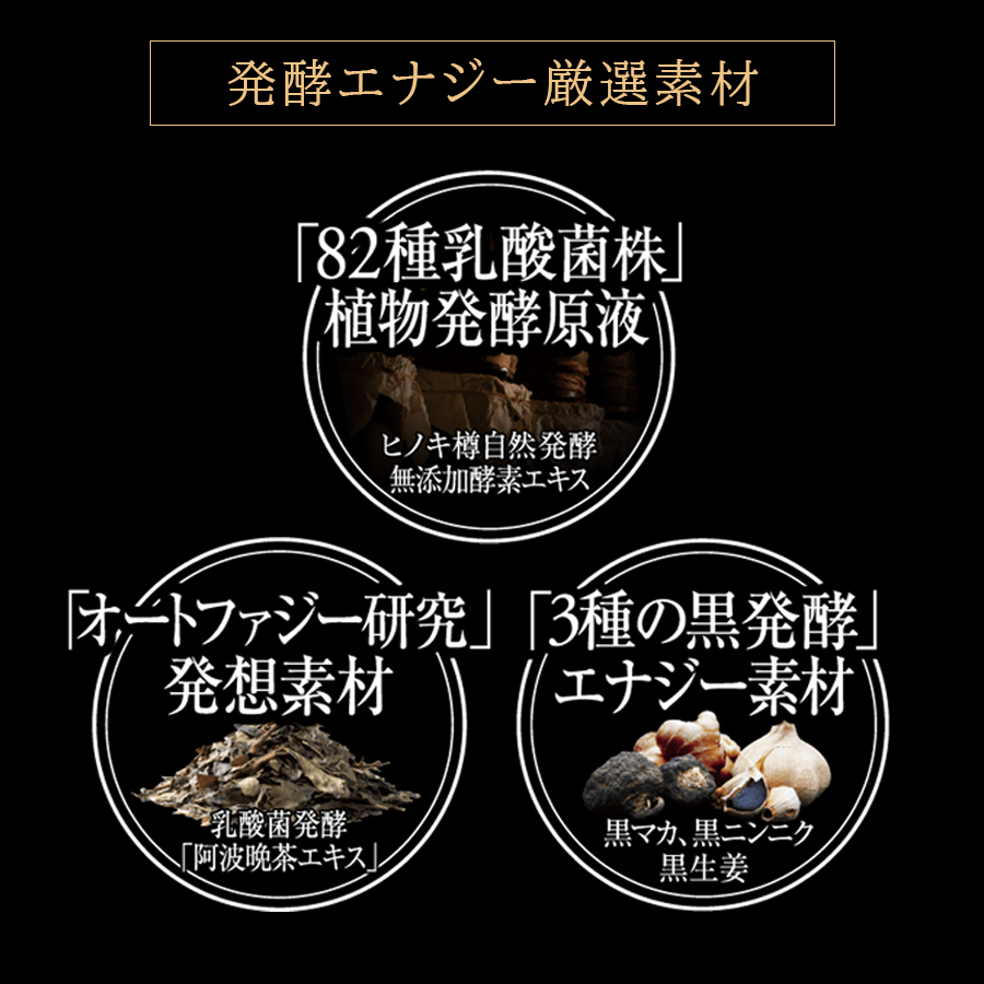 エステプロラボ　ハッコウブラックハーブザイム　500ml/販促