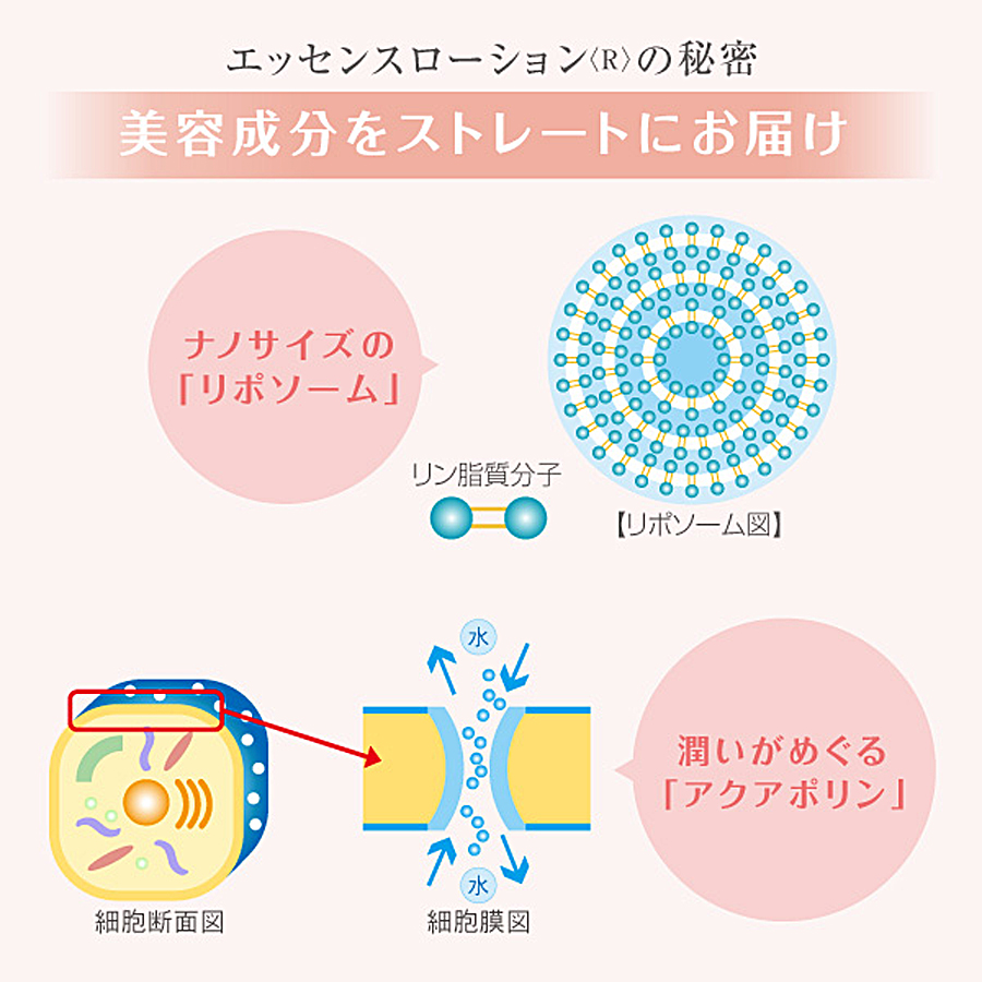 ラシンシア エッセンスローション R/W