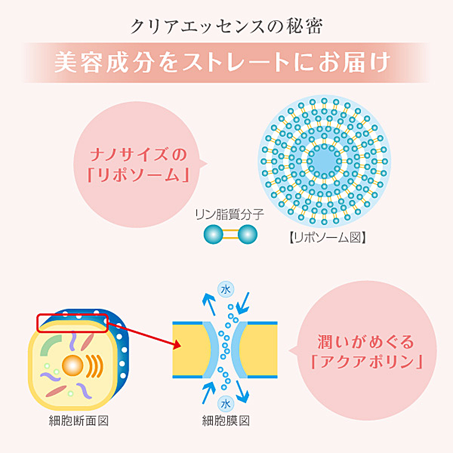 ラシンシア クリアエッセンス 30ml