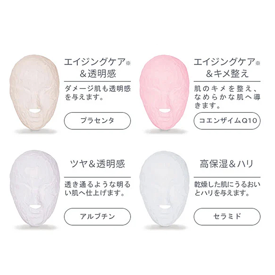 プロズビ 石膏パック 全11種