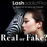 ラッシュアディクトプロ 導入講習*