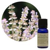 フレーバーライフ エッセンシャルオイル クラリセージ 10ml