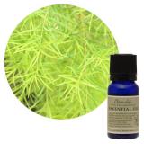 フレーバーライフ エッセンシャルオイル ティートリー 10ml〜1000ml