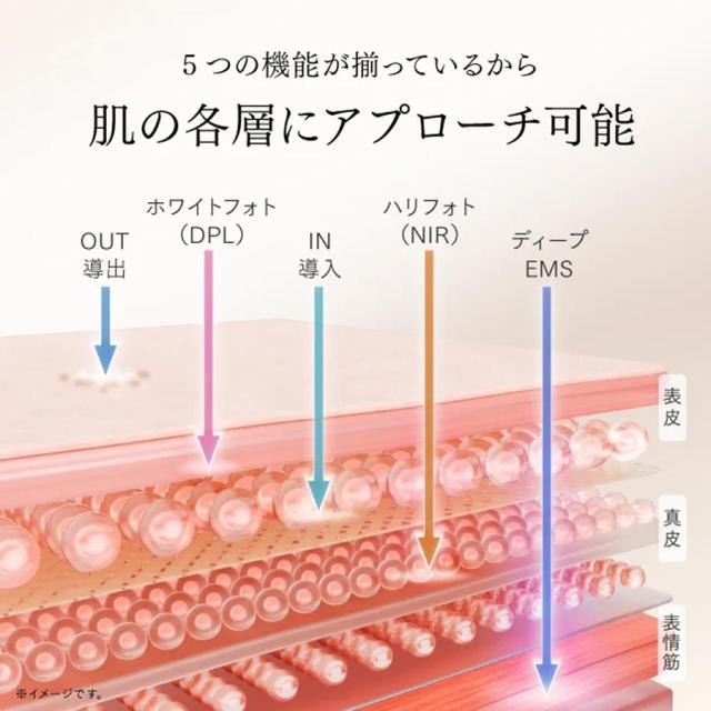 MYTREX(マイトレックス) ミライ ワンのイメージ画像