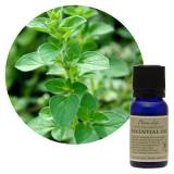 フレーバーライフ エッセンシャルオイル マジョラムスイート 10ml/100ml