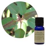 フレーバーライフ エッセンシャルオイル ユーカリ シトリオドラ 10ml/100ml