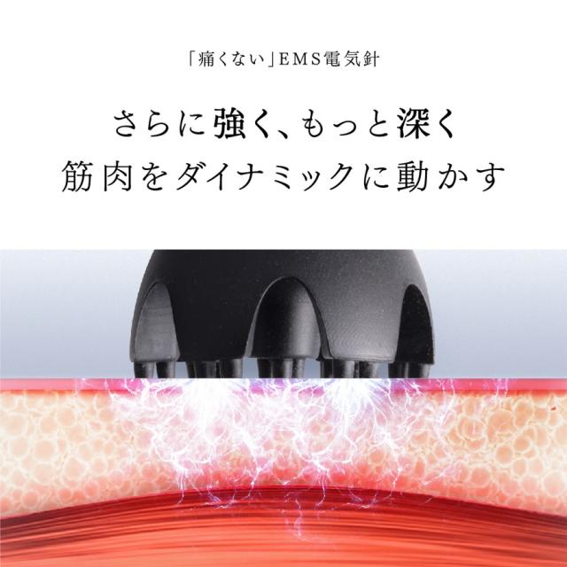 MYTREX(マイトレックス) EMSヘッドスパプロのイメージ画像