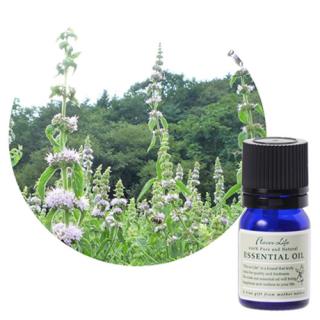 フレーバーライフ エッセンシャルオイル 薄荷 3ml/10ml