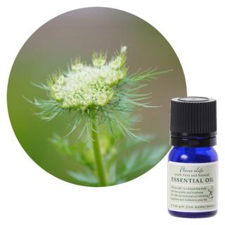 フレーバーライフ エッセンシャルオイル キャロットシード 10ml