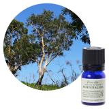 フレーバーライフ エッセンシャルオイル ニアウリ 10ml