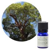 フレーバーライフ エッセンシャルオイル ラヴィンサラ 3ml/10ml/100ml