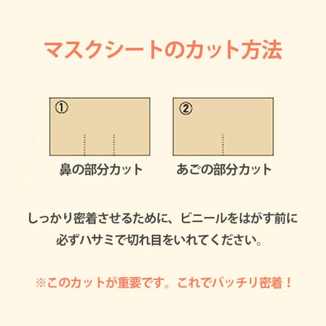 リポデルム ゴールデュアマスク 10回分のイメージ画像