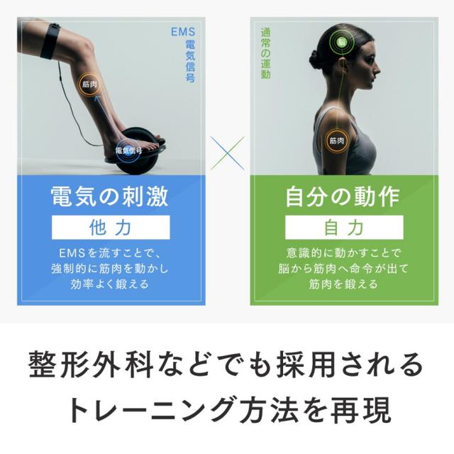 MYTREX(マイトレックス) エレクサフットのイメージ画像