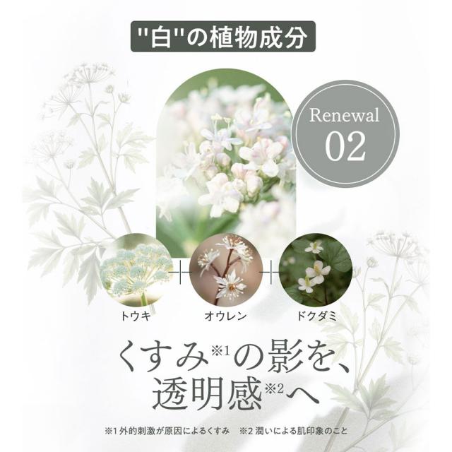 【予約】タントリュクス オイル WHセラム 30mlのイメージ画像
