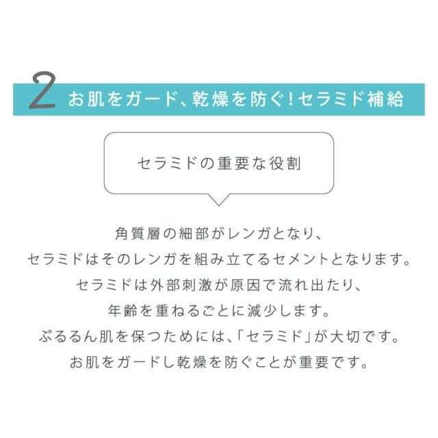 薬用ATP リピッドゲル (100g/200g)のイメージ画像