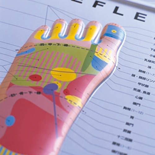 3D 足のリフレクソロジーチャートのイメージ画像