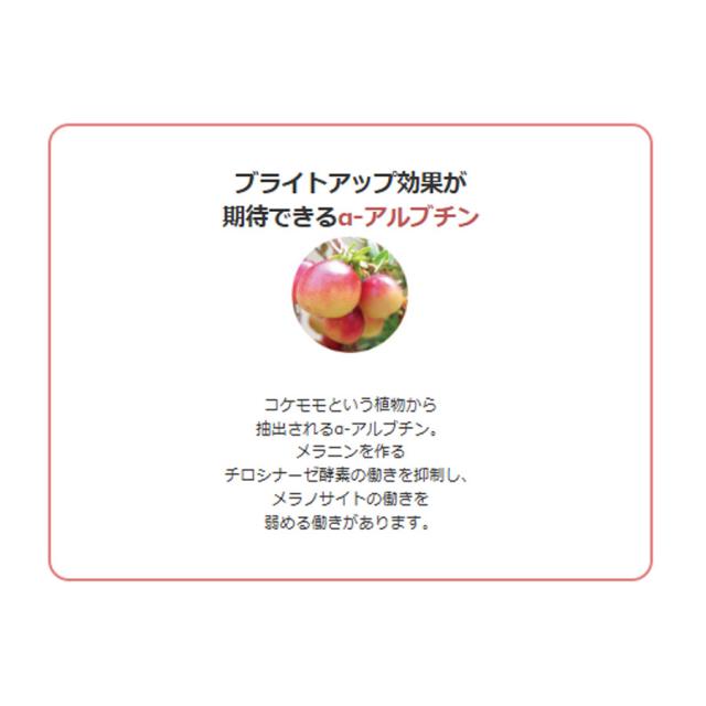 レッドデュア ホワイツエクス シートマスク 5包のイメージ画像