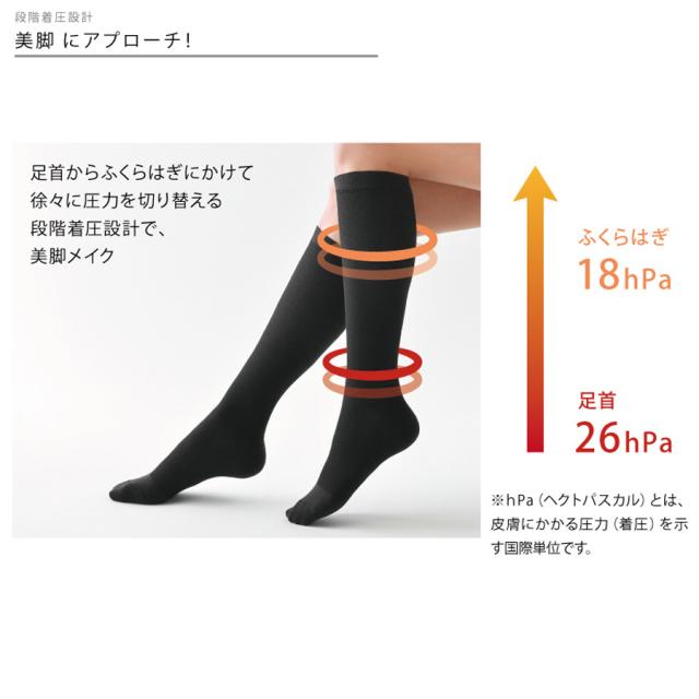 Befit(ビーフィット) 燃活®サポート 美脚ソックスのイメージ画像