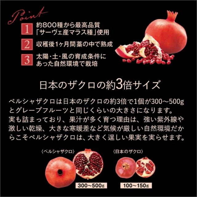 エステプロ・ラボ ザクロザイムペースト 10g×30包のイメージ画像