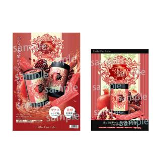 【販促物】エステプロ・ラボ ザクロザイムペースト