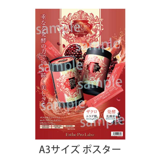 【販促物】エステプロ・ラボ ザクロザイムペーストのイメージ画像