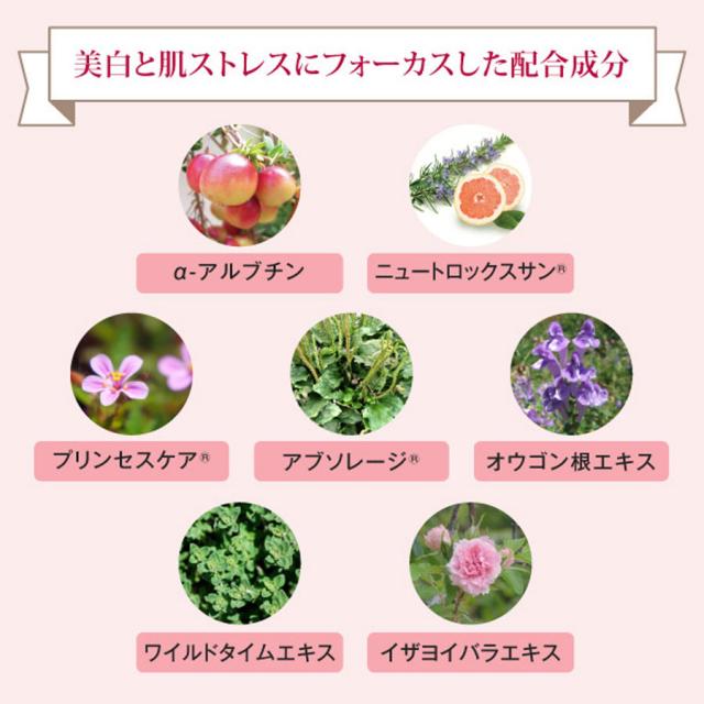 レッドデュアWH+ ゲルシートマスク 10包のイメージ画像